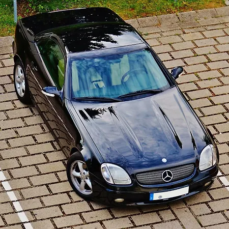 - The Niu, Pax Airport By Ihg Hotel